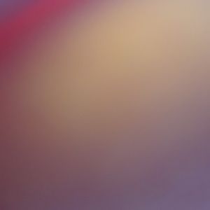 Meet your Posher, Riley